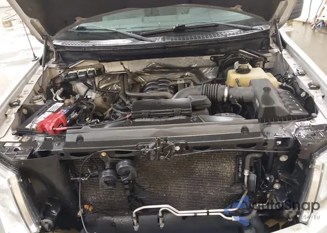 2013 Ford F-150 Xlt from USA, damaged, VIN 1FTFX1EF6DFA20877